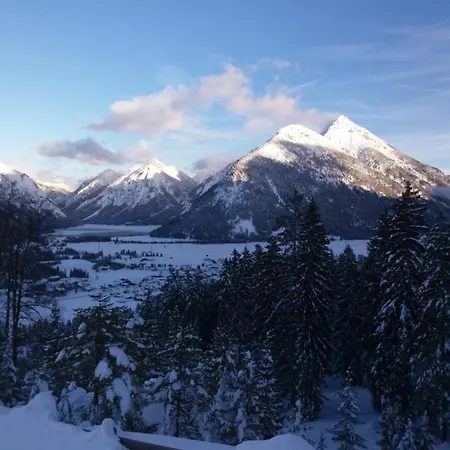 Homestay Alpengruss *